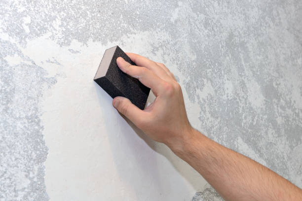 Best Post-Construction Mold Inspection  in Rock Springs, WY