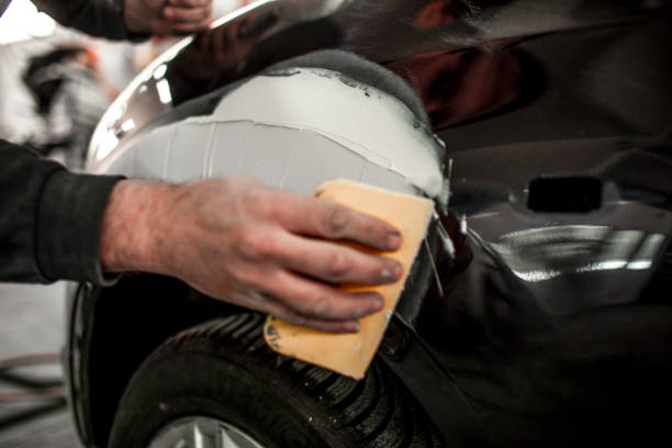 Rock Springs, WY Mold Removal Company