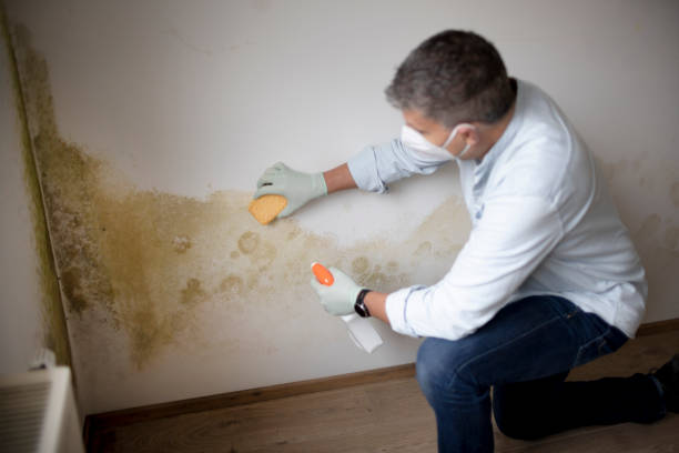 Best Residential Mold Inspection & Testing  in Rock Springs, WY
