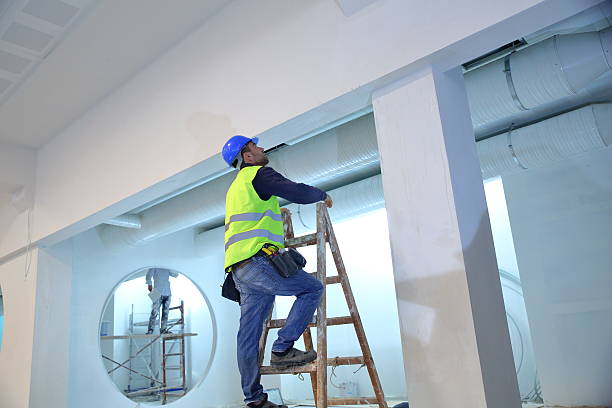 Best Basement Mold Removal  in Rock Springs, WY